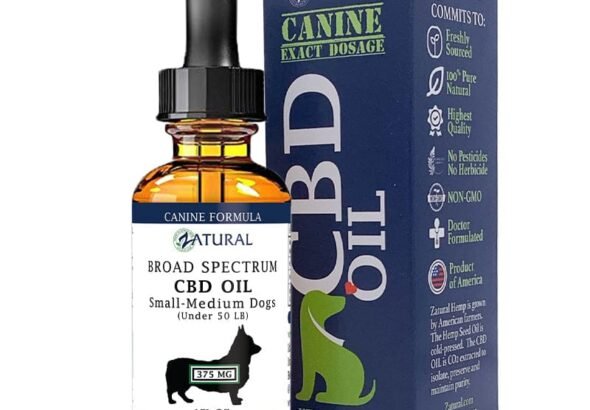 WhatsApp Image 2026-02-10 at 7.11.26 PM (3)