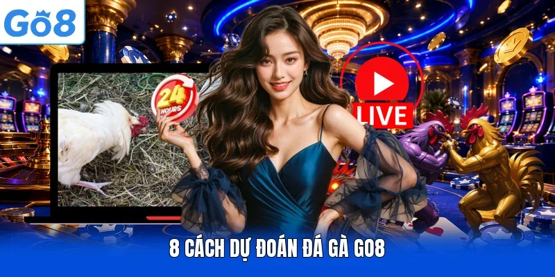 8 cách dự đoán đá gà GO8